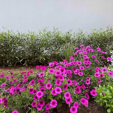 In Royalgarden Means Life *